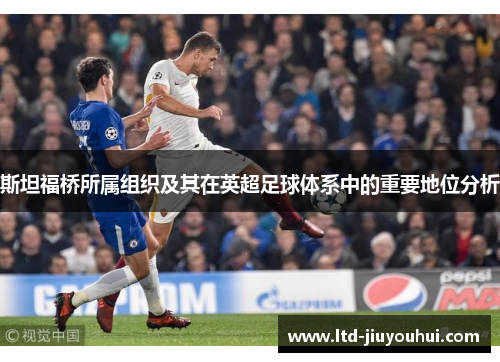 斯坦福桥所属组织及其在英超足球体系中的重要地位分析 斯坦福桥所属组织及其在英超足球体系中的重要地位分析