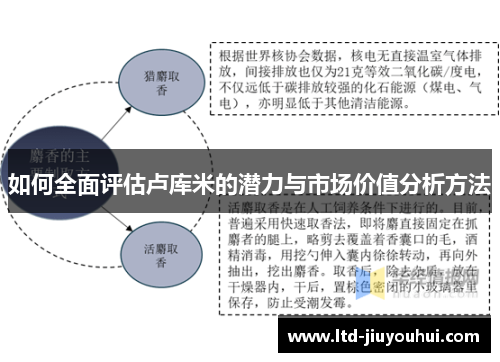 如何全面评估卢库米的潜力与市场价值分析方法